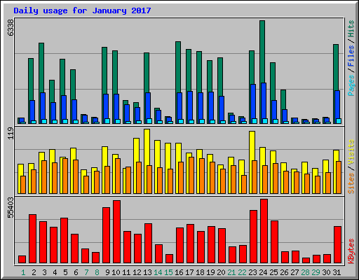 Daily usage for January 2017