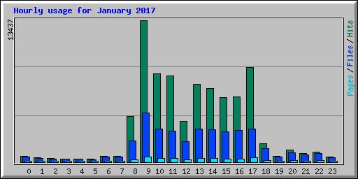 Hourly usage for January 2017