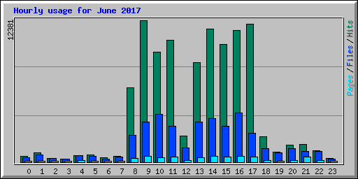 Hourly usage for June 2017