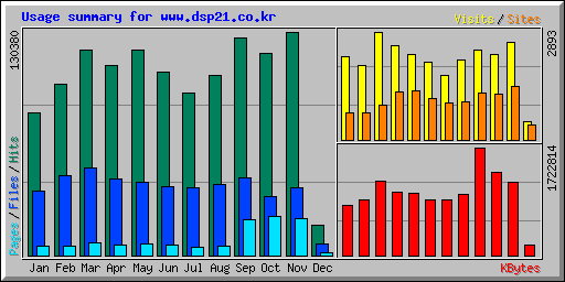 Usage summary for www.dsp21.co.kr